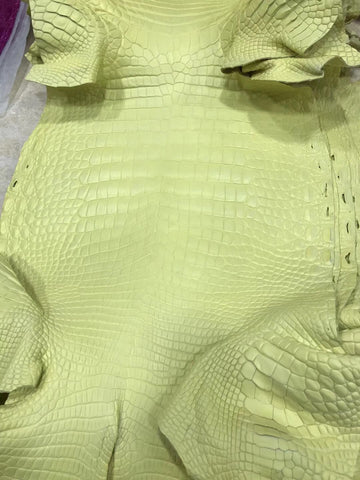 Siamese Crocodile Skin Leather