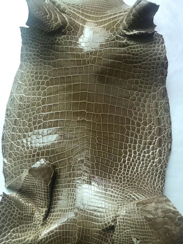 siamense crocodile leather