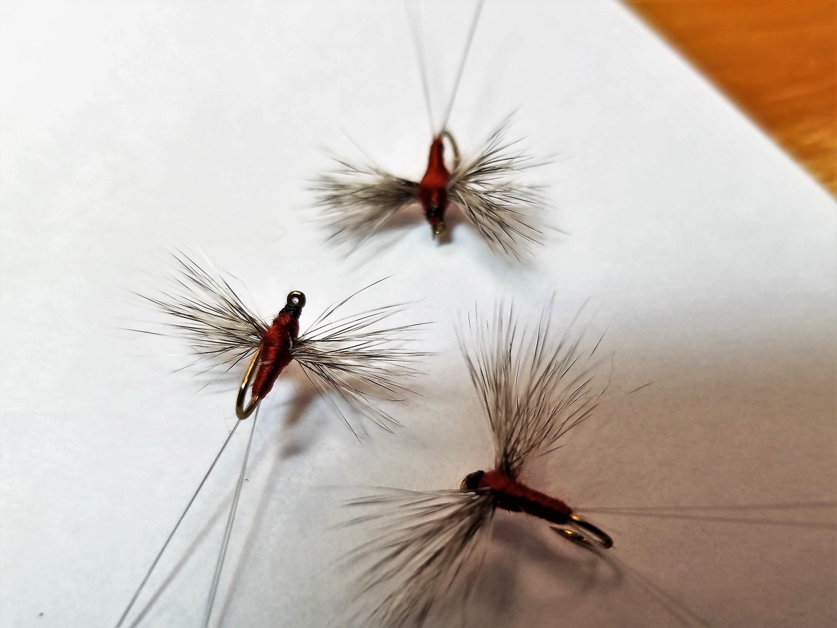 Rusty Spinner, Hackle WIng Spinner, Mayfly Spinner – Baxter House River ...