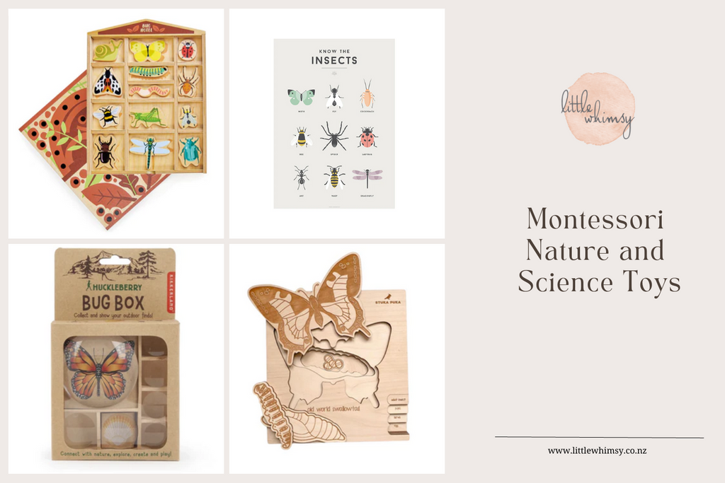 Montessori Toys available at little whimsy NZ