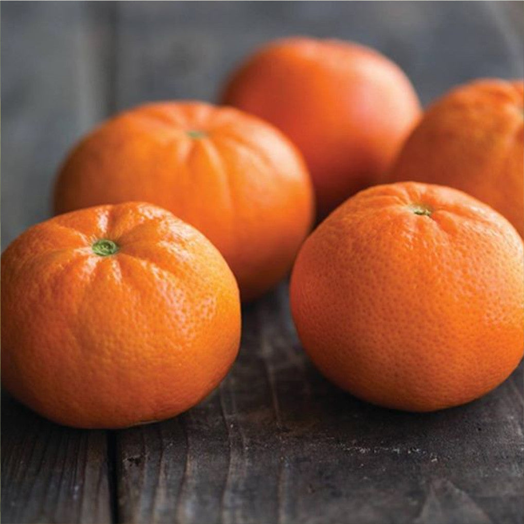 valspar honey tangerine