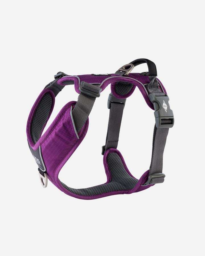 Billede af Comfort Walk Pro Sele (Purple), X Small