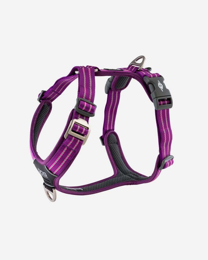 Billede af Comfort Walk Air Sele (Purple), X Large hos Petlux.dk