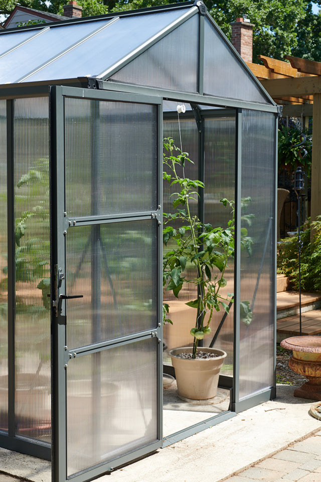 6x8 Glory greenhouse