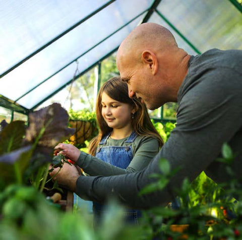 Inside the Glory Greenhouse