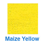 Maize Yellow