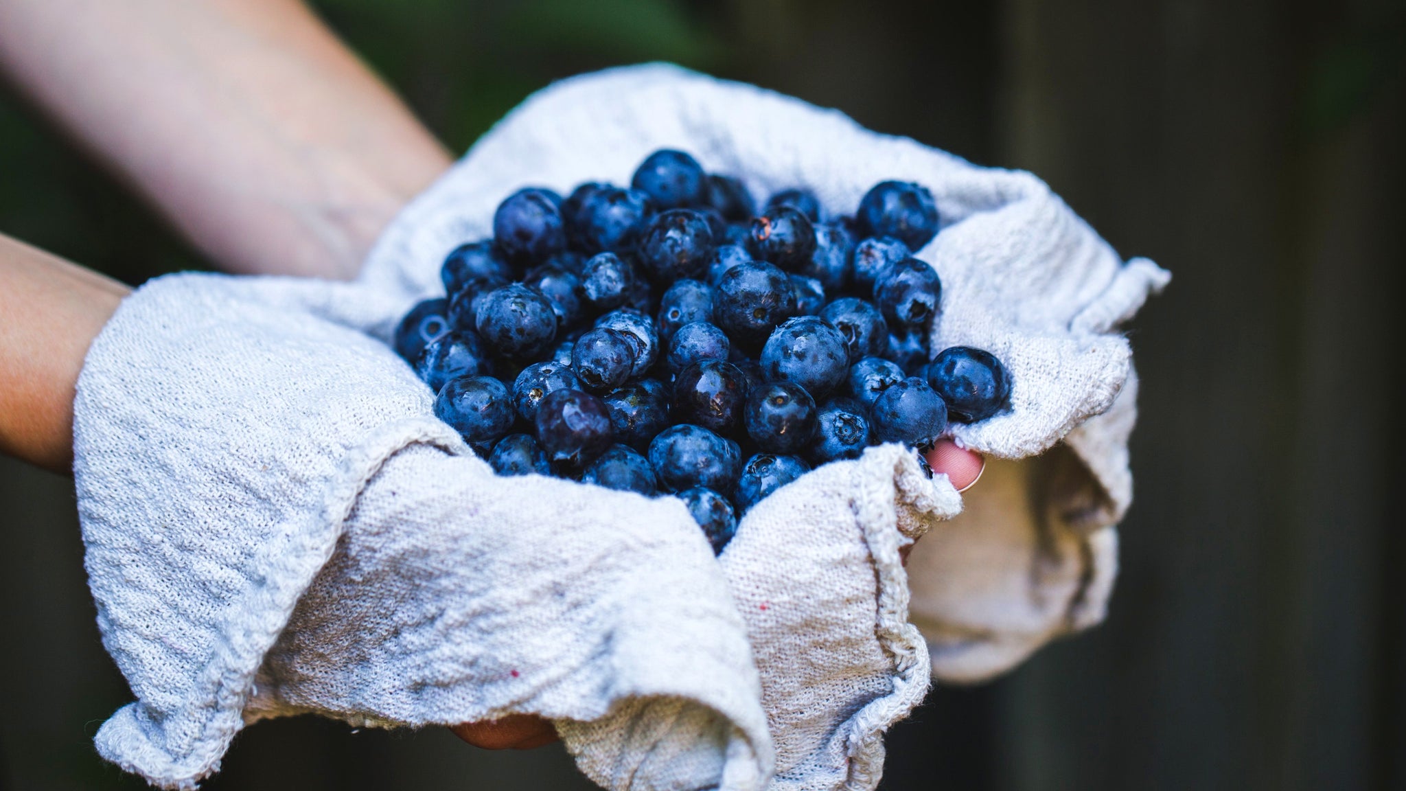 eating blueberries for clear skin