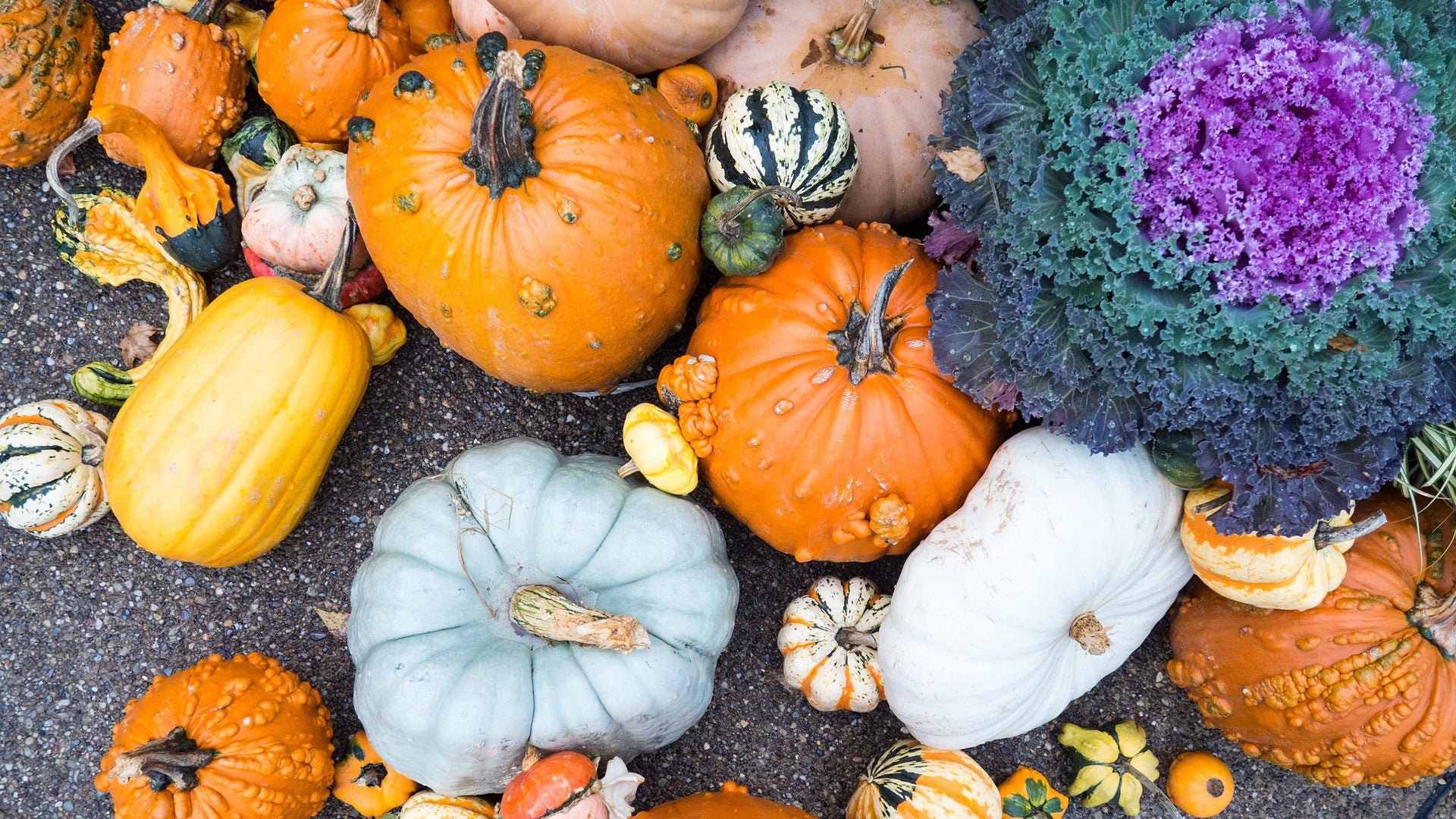 vitamin c in pumpkins and squash