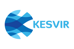 kesvir_logo_special_kids_company_special_needs_clothing