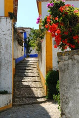 Portuguese Alley