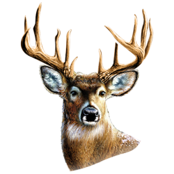 3d deer hoodies