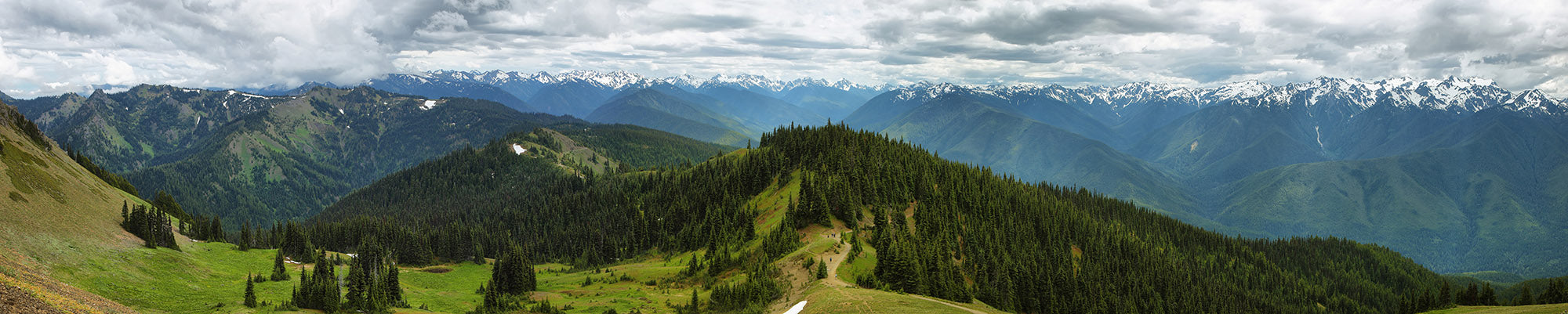 Image of Hurricane Ridge and Olympic Mountains