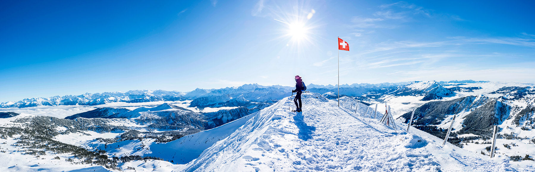 panoramic image of The Swiss alps