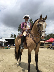 Fancy Horse Guy in Purple