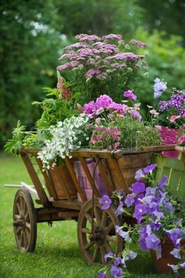 Gardening with Antiques - goat cart garden