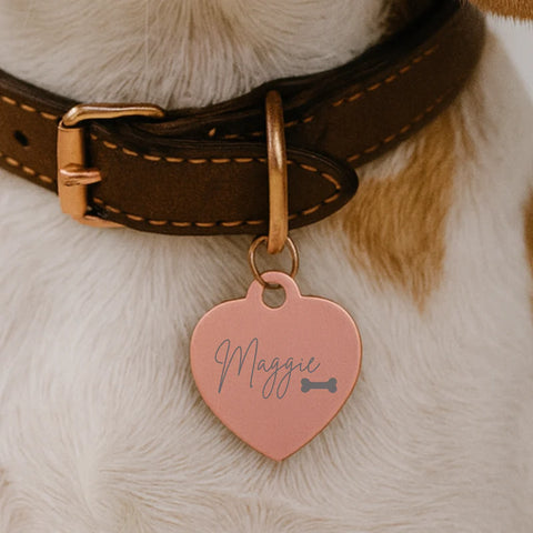 Fetch Me a Bone Tag