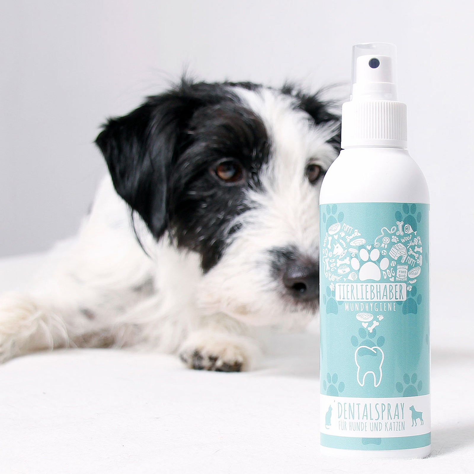 TIERLIEBHABER DentalSpray I Maulhygiene für deine Fellnase! Hund von