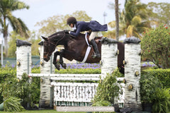 Hunter Rider and Horse Jumping over Gate