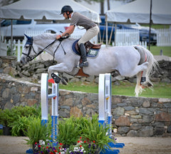 Show Jumper in Beige Riding Pants with White Horse Bounding Over Obstacle