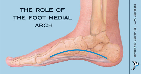 support for high arch feet