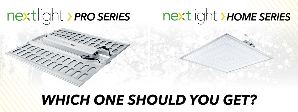 Buyers Guide: NextLight Pro vs Home Series