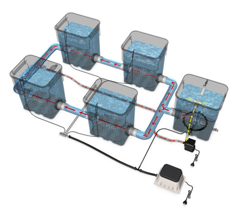 Current Culture Hydroponic Systems