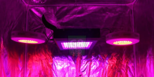 G8LED Grow Lights