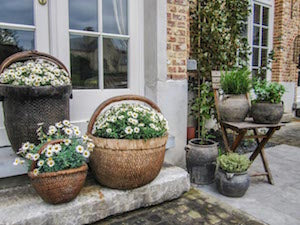 Old pots and baskets with flowers