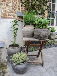 Old grey pots and herb garden