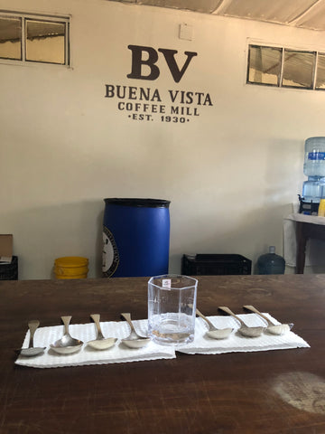 Kaffee Verkostung Cupping El Salvador