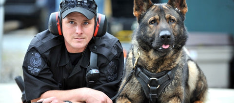 how old are retired police dogs