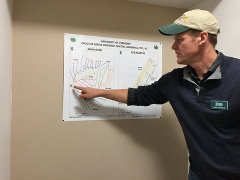 Mark Isselhardt shows us different lines set out in the experimental sugarbush