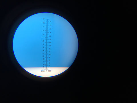 What the inside of the refractometer looks like.