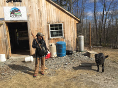 Manny and Corrie prepare to remove taps from the trees