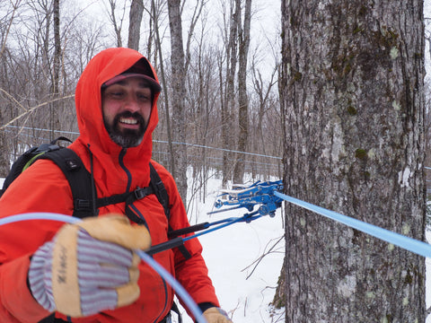 Nate putting in drop lines at our sugaring operation up north