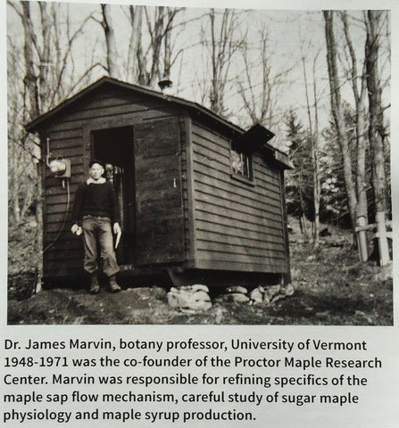 Original Proctor Maple Farm Lab 