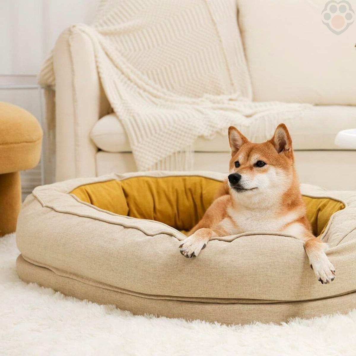 serenity-dog-basket-_visible-transformation