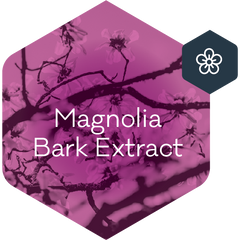 Magnolia Bark Extract_active Ingredient