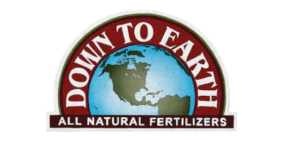 Down To Earth Logo