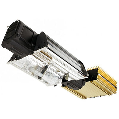 DimLux Expert Series CMH light