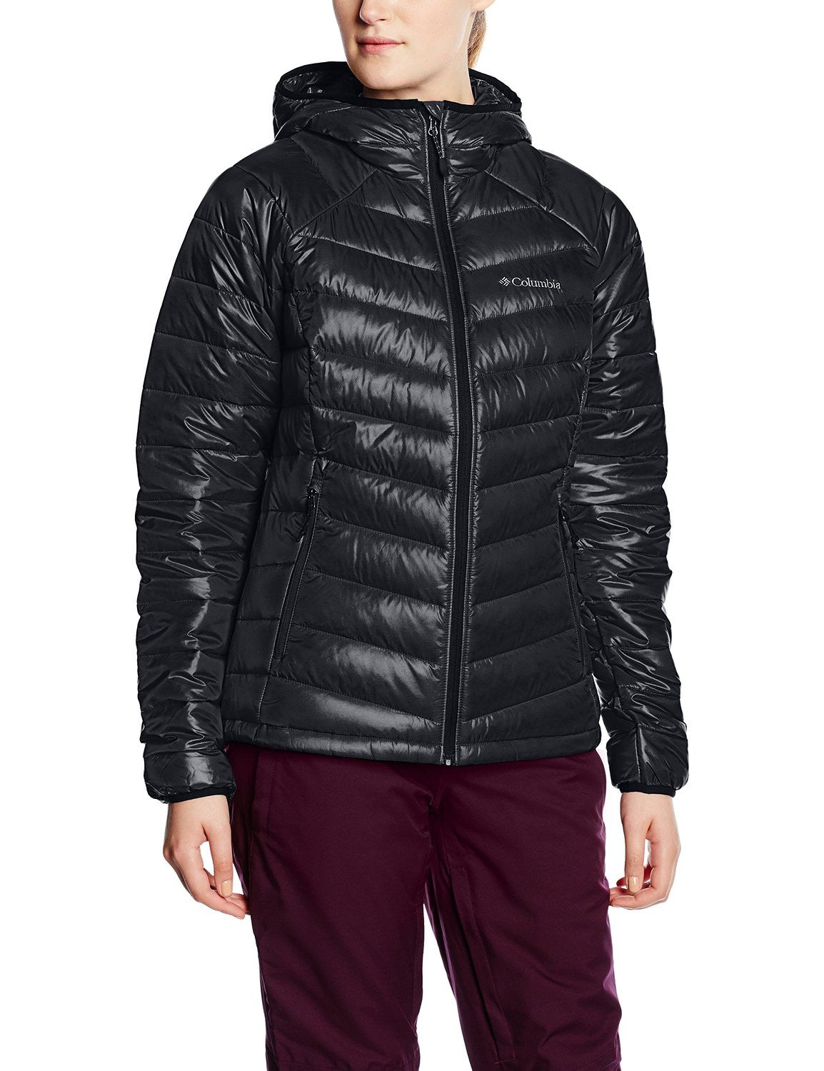 columbia men's platinum 860 turbodown down jacket