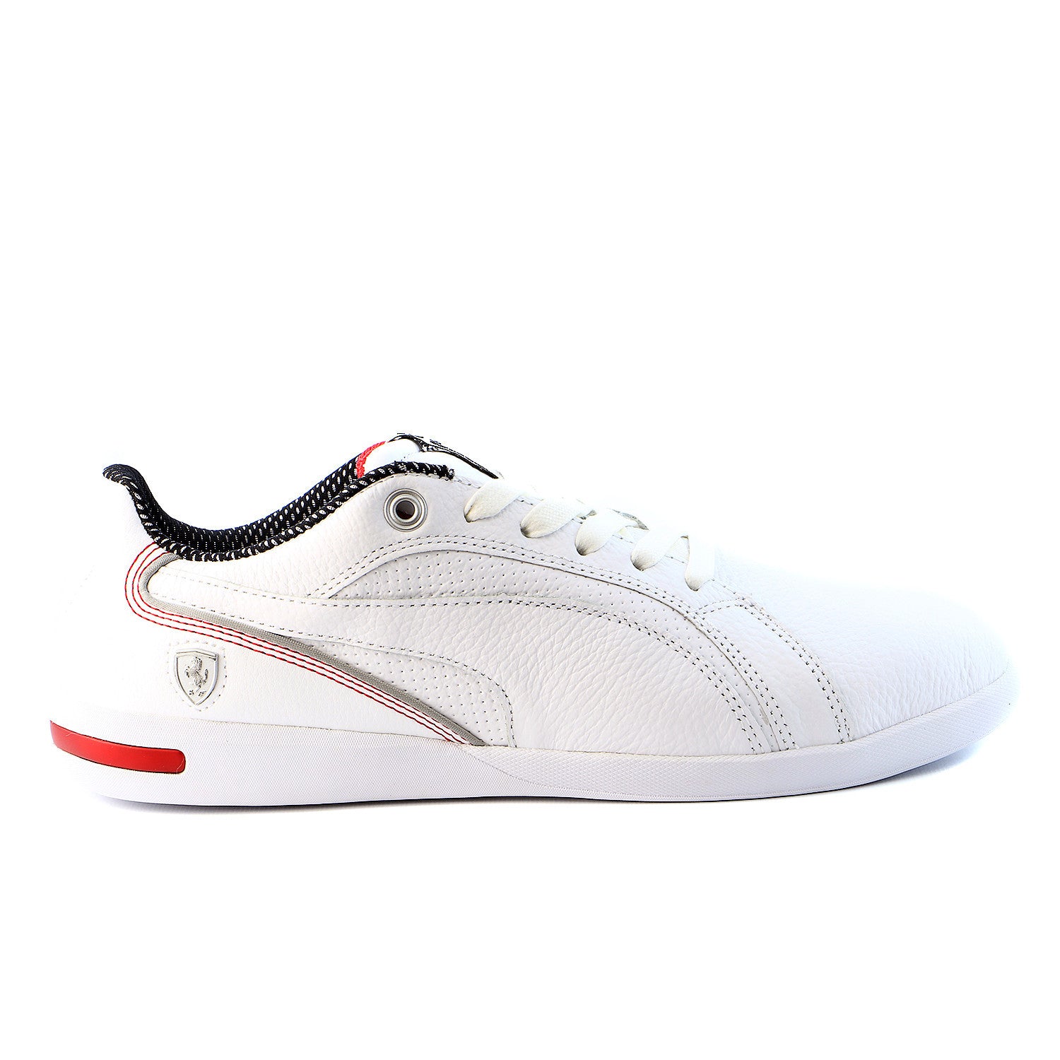 puma motorsport 10th