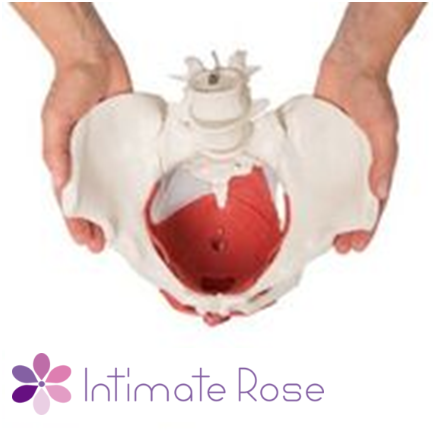 Intimate Rose, Warming/Cooling Temperature Therapy Pelvic Wand