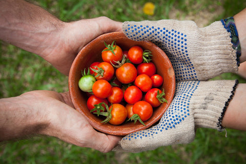 Two people holding a bowl of home grown tomatoes