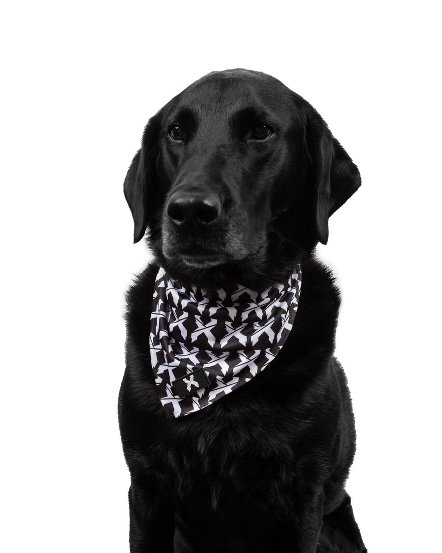 Tie On Dog Bandana Skulls  Black Puppy Bandana : Moose With Me® USA –  Woolf With Me®