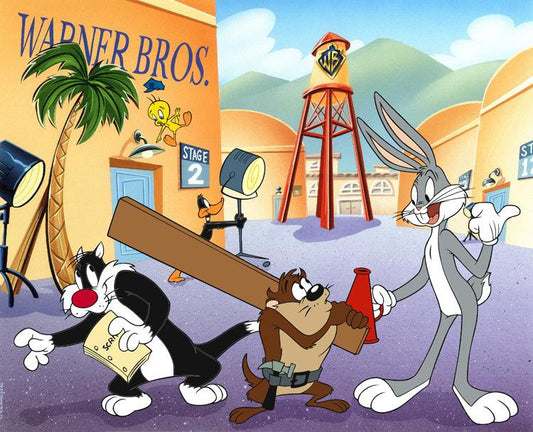 Pack of 5 Looney Tunes © &™ WARNER BROS printed briefs - Briefs