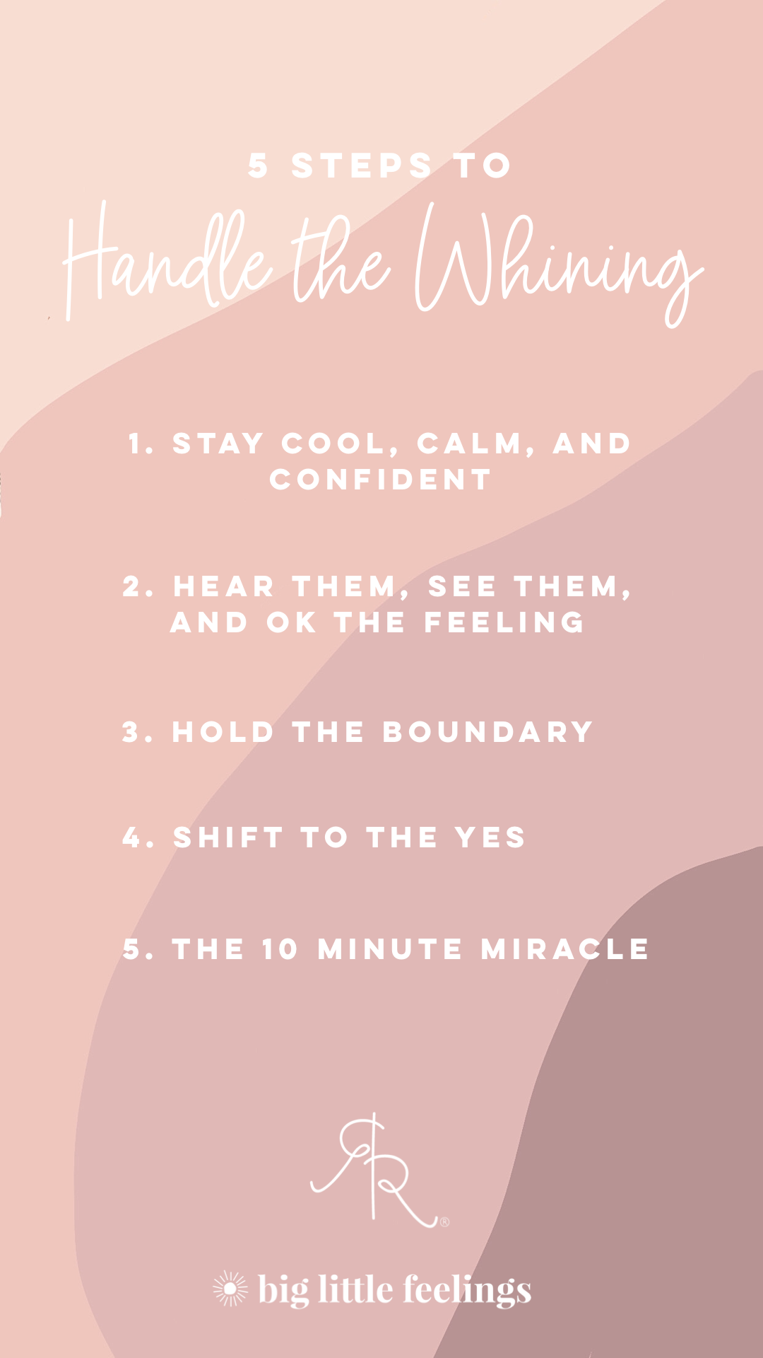 5 Steps to Handle the Whining A Toddler Guide with Big Little