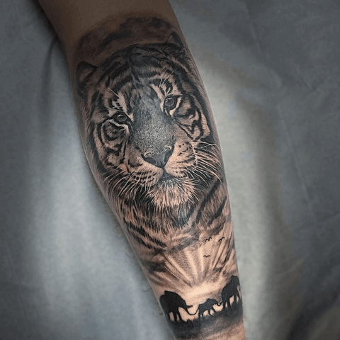 Tiger tattoo (@amy_ellistattoos)