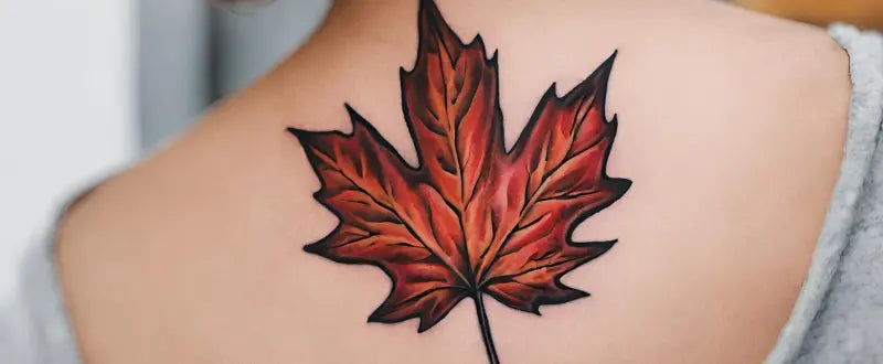 maple leaf tattoo design
