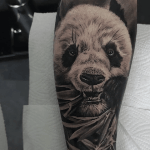 Panda black and grey tattoo